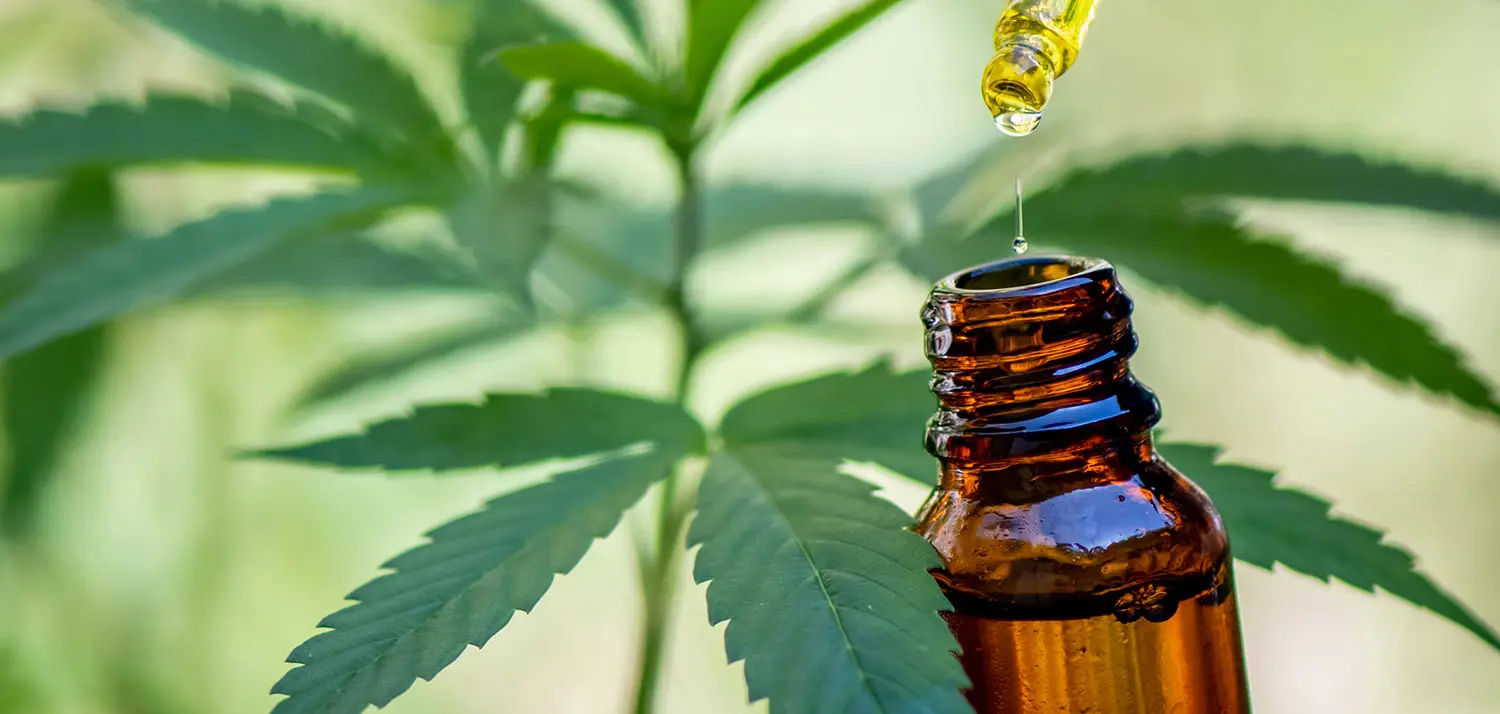 Learning about the BEST Relaxing CBD Products