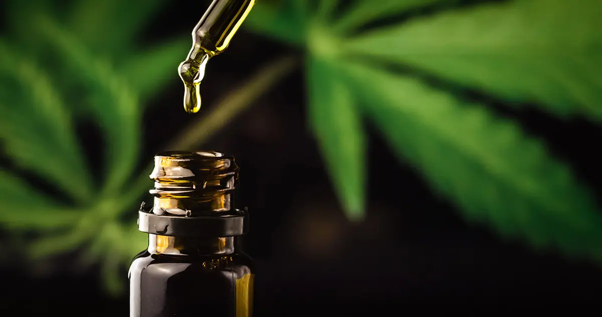 The 10 Foremost THC and CBD Benefits