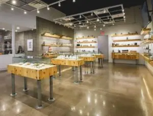  Learn About The History of The Source for our 7th Anniversary!